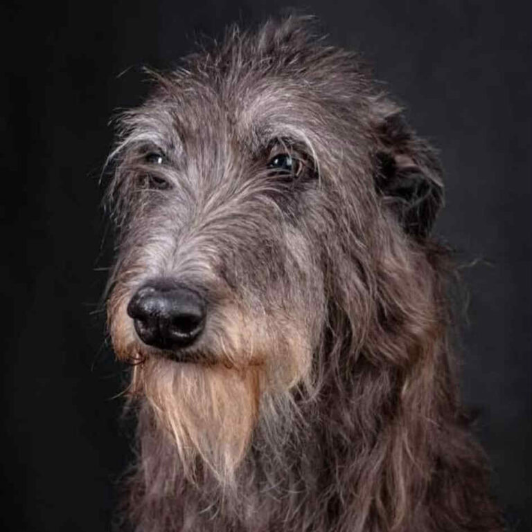 1-Ch.Naamah of Muma to Khlan_