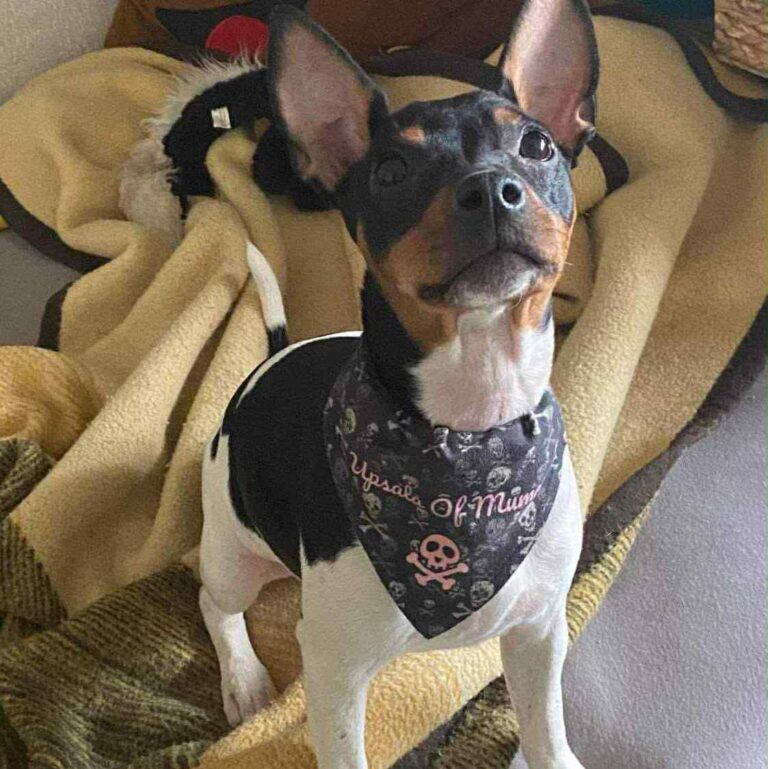 1- Ch.Upsala of Muma_