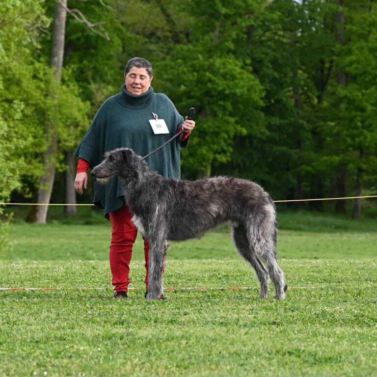 1-Ch.Valacar of Muma