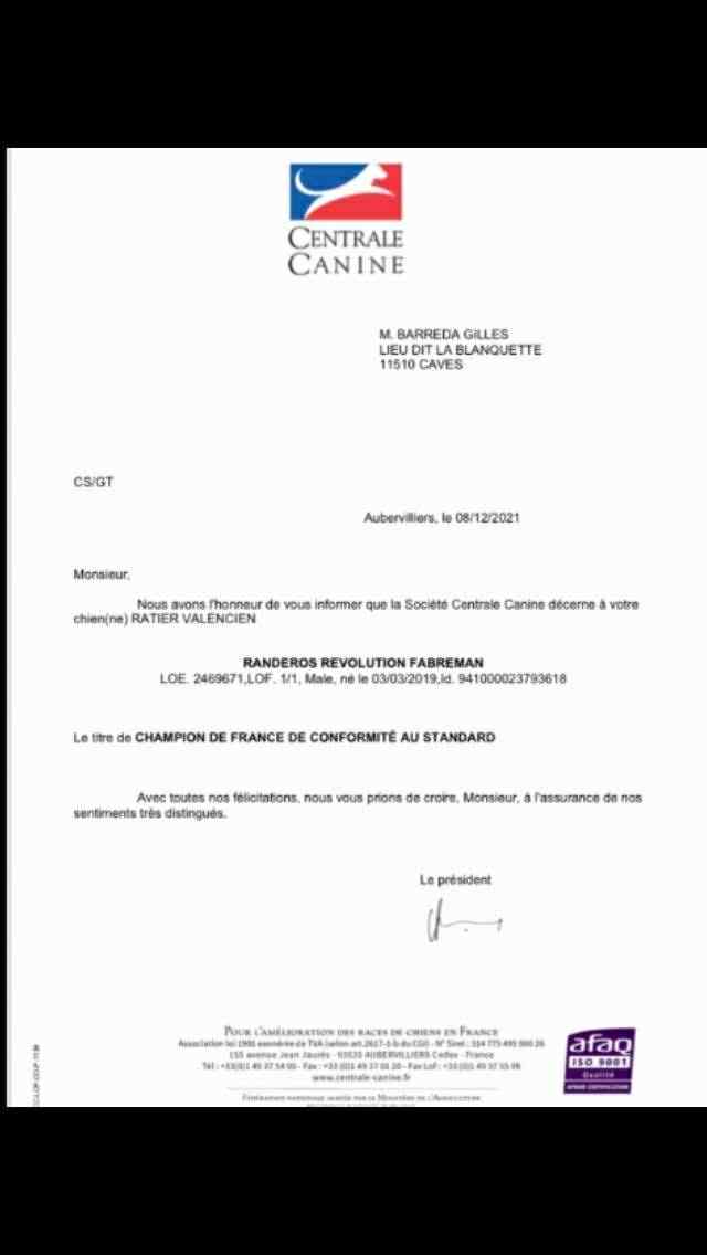 10- Ch.Randeros Révolution Fabreman dit Pepito_