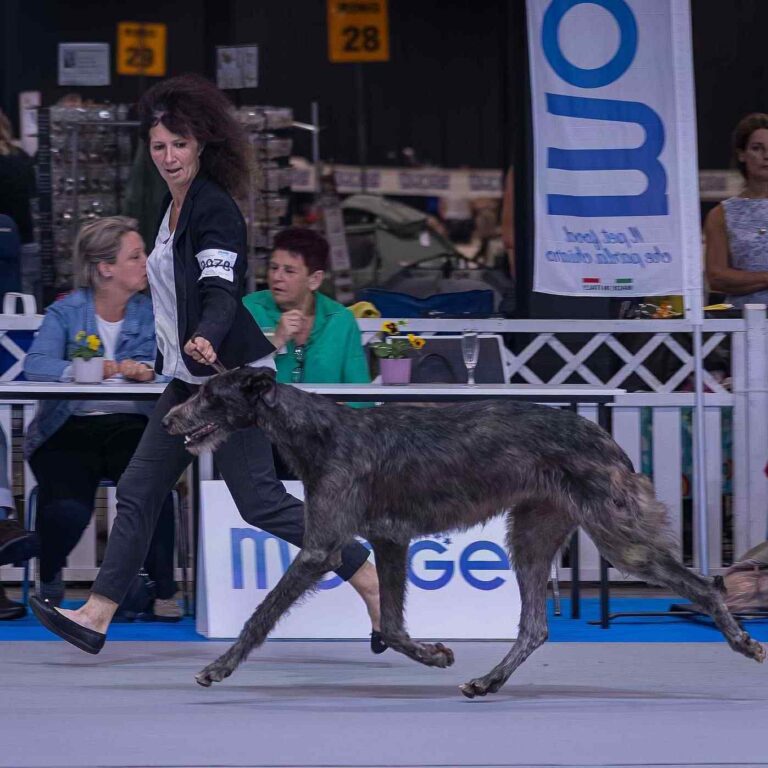 10-Ch.Vanina of Muma