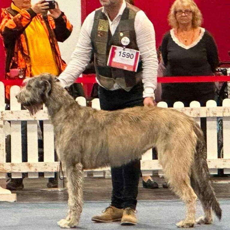 14- Ch.Unique of Muma