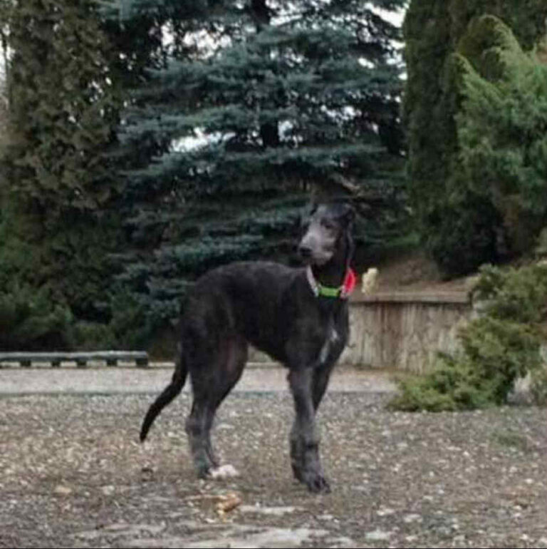 2-Ch.Naamah of Muma to Khlan_