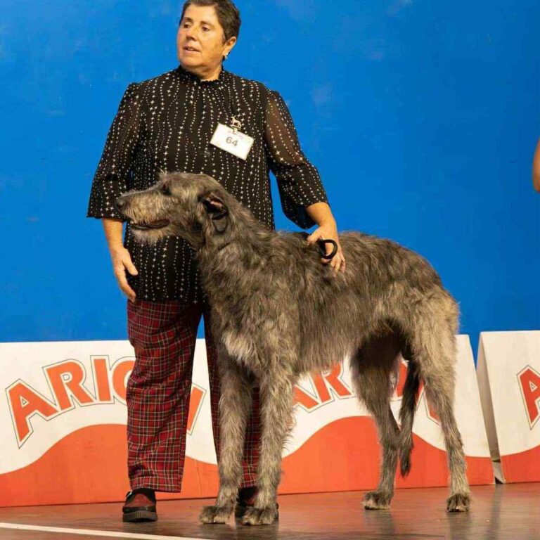 2-Ch.Shaïgan of Muma