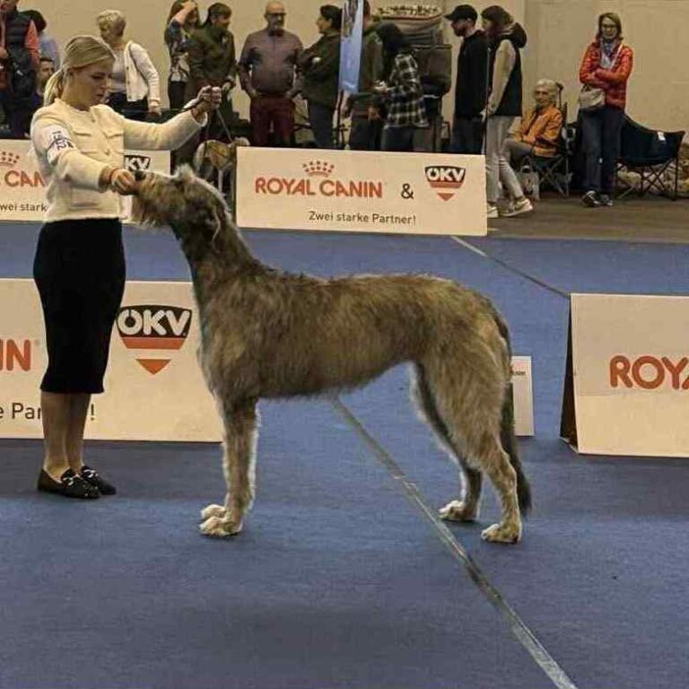 2- Ch.Unique of Muma_