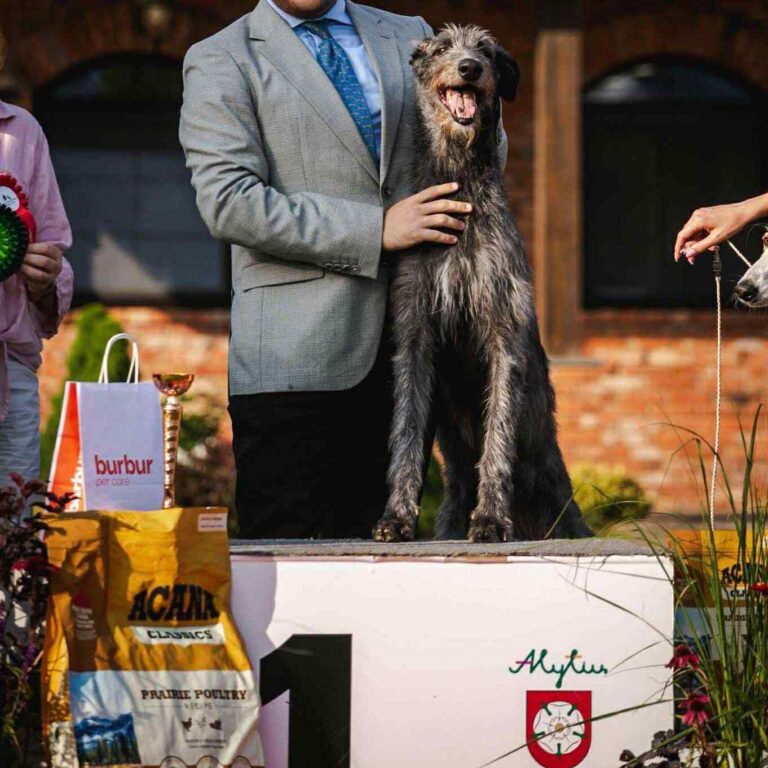 2-Ch.Uoga of Muma dite Nessie