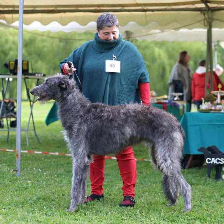 2-Ch.Valacar of Muma