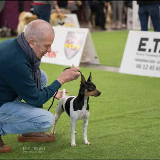 3-Ch.Randeros Gema dite Salsa