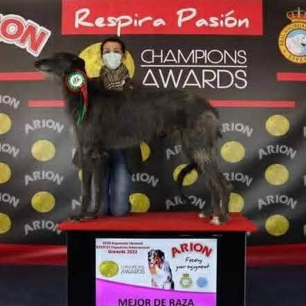 3- Ch.Rough Tartan of Muma