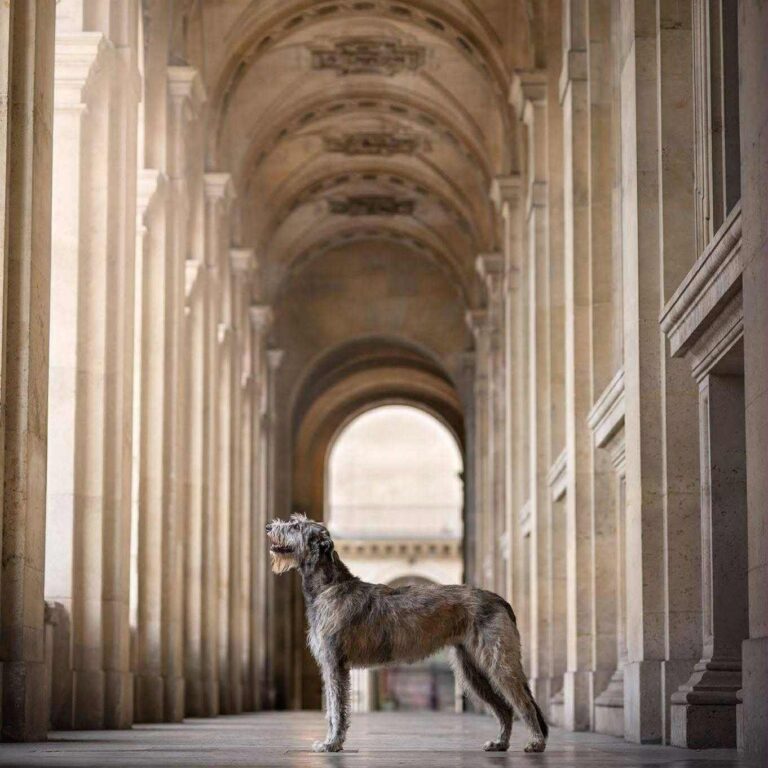 3- Ch.Unique of Muma_