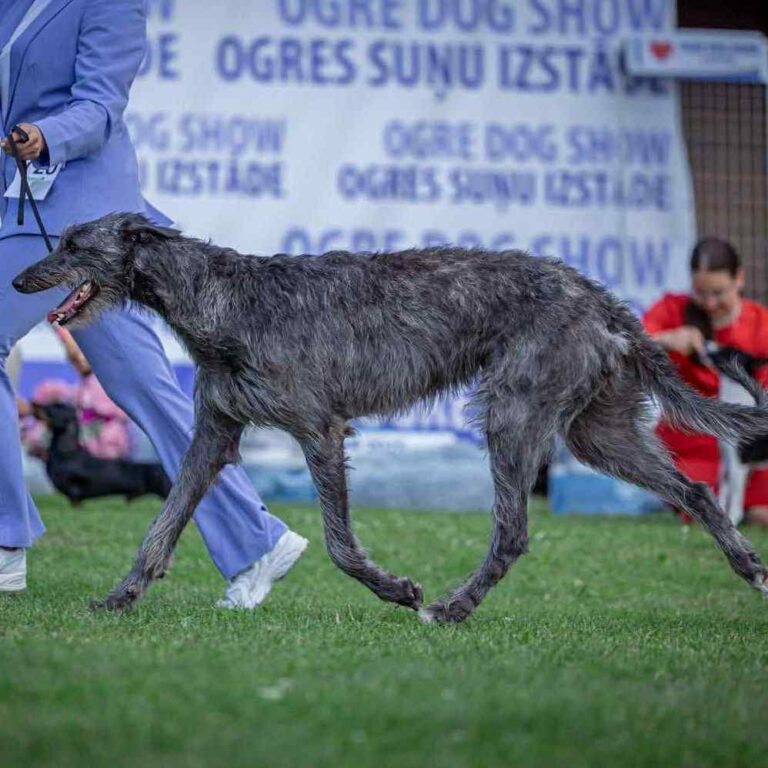 3-Ch.Uoga of Muma dite Nessie