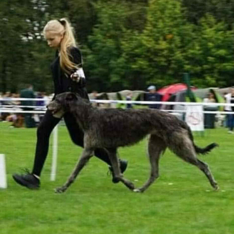 4-Ch.Naamah of Muma to Khlan_