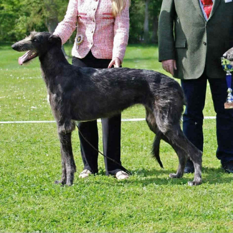 4Ch.Eynhallow’s Eden at Muma