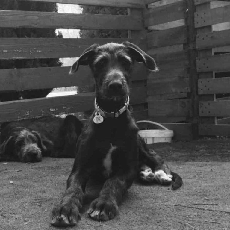 6-Ch.Naamah of Muma to Khlan_