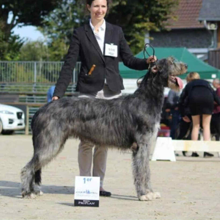 7- Ch.Mooky of Muma_