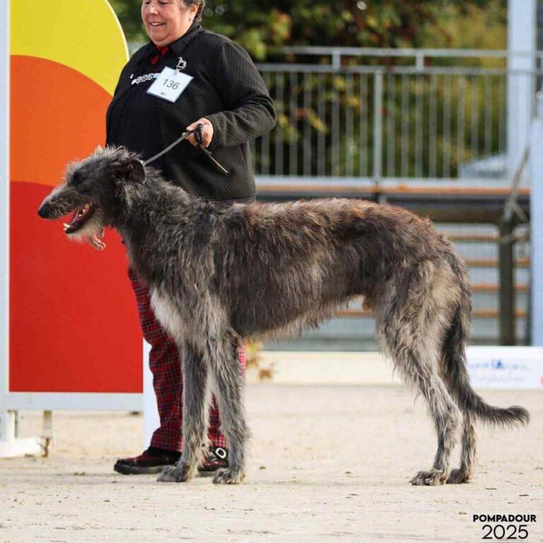 7-Ch.Valacar of Muma