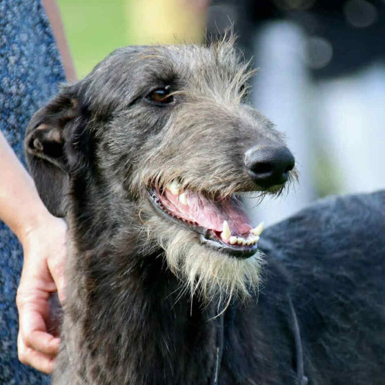 8-Ch.Eynhallow’s Eden at Muma