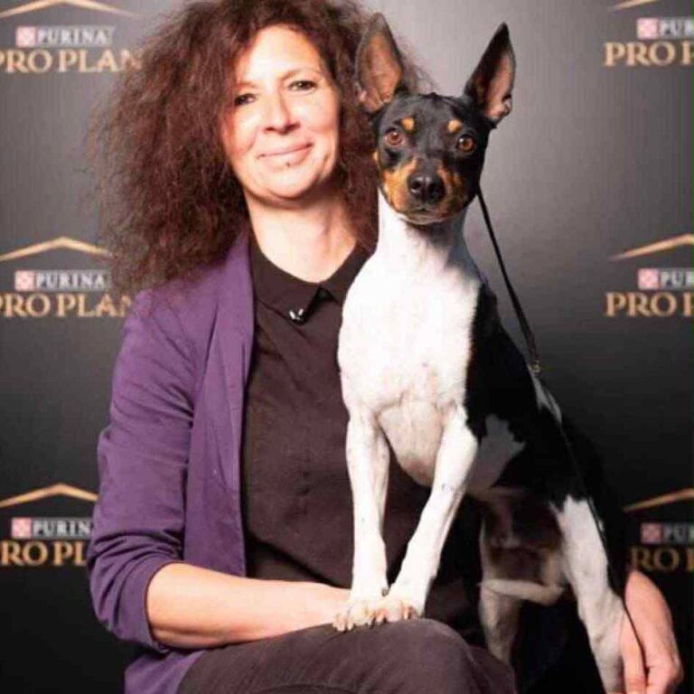 8- Ch.Randeros Révolution Fabreman dit Pepito_