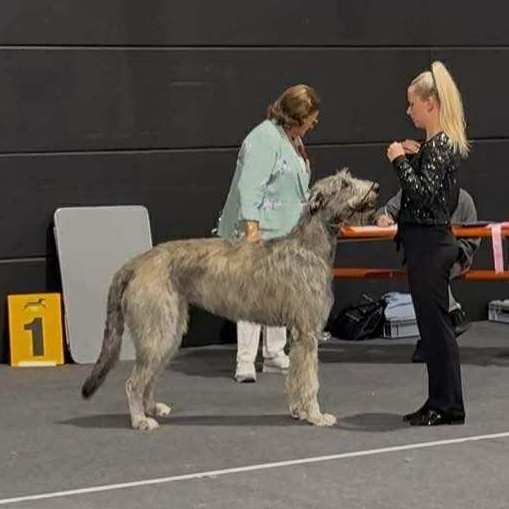 8- Ch.Unique of Muma_