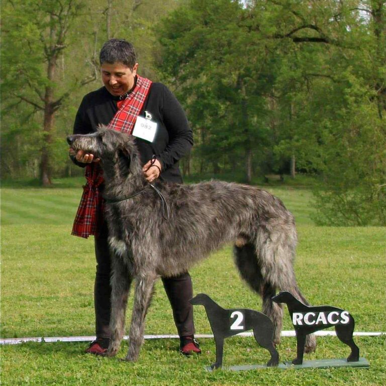 9-Ch.Shaïgan of Muma